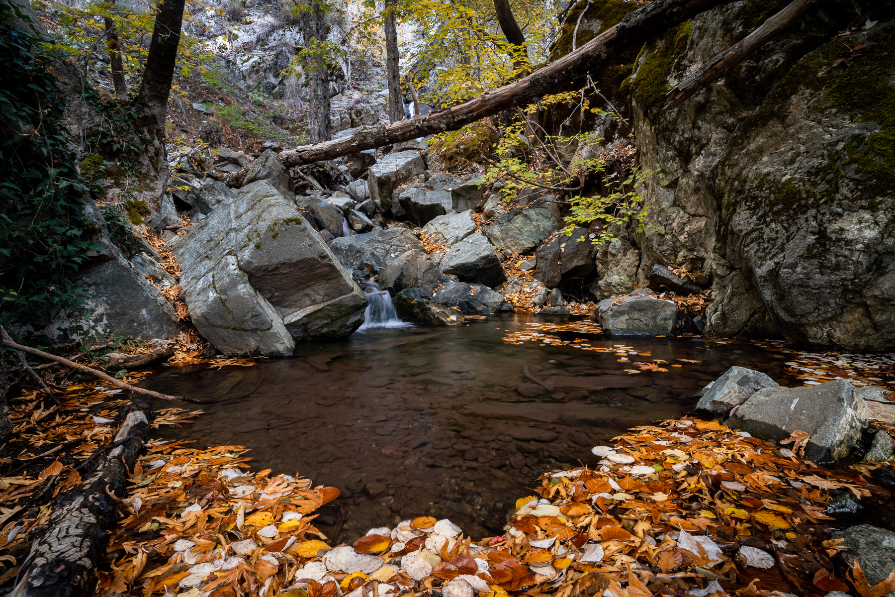 Kalidonia Kalidonia | HikingClub